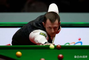 NG体育-包含Ming迎来五赛季高光表现，瑞士队球迷沸腾！的词条